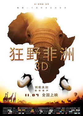 狂野非洲 African Safari