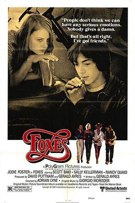 小狐狸 Foxes
