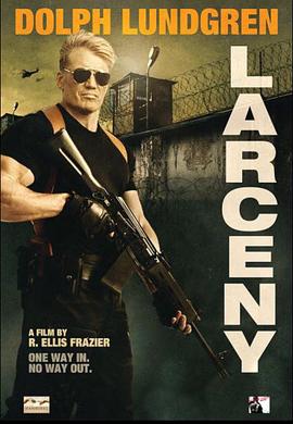 惊盗乱点 Larceny