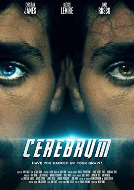 记忆误区 Cerebrum