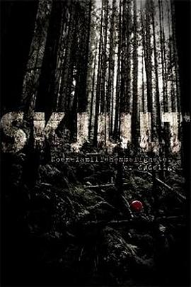 隐藏 Skjult