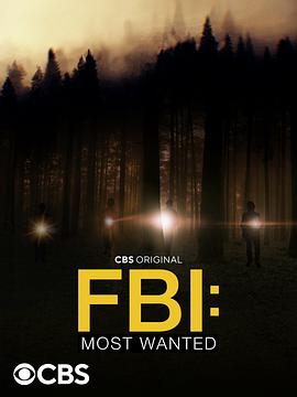 联邦调查局：通缉要犯 第四季 FBI: Most Wanted Season 4