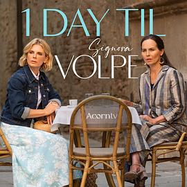 狐狸女士 第二季 Signora Volpe Season 2