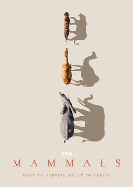 哺乳动物星球 Mammals