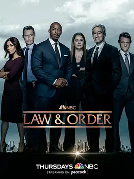 法律与秩序 第二十二季 Law & Order Season 22