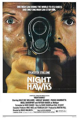 夜鹰 Nighthawks