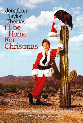 一路闯关过圣诞 I'll Be Home for Christmas