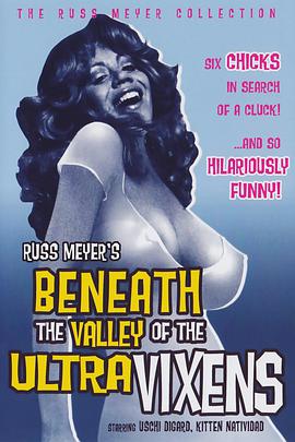 身陷悍妇谷 Beneath the Valley of the Ultra-Vixens