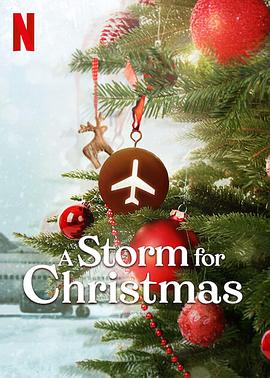 圣诞风暴 A Storm for Christmas