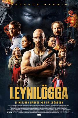 特警秘恋 Leynilögga