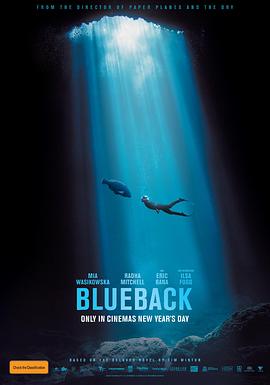 蓝背鱼 Blueback