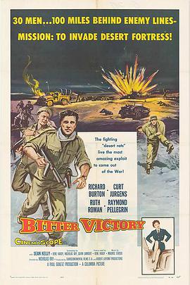 沙漠大血战 Bitter Victory