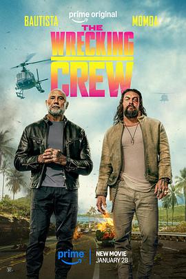 特工迷阵 The Wrecking Crew