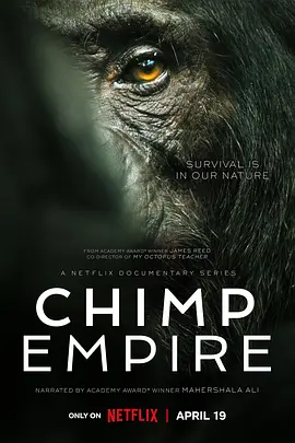 黑猩猩帝国 Chimp Empire