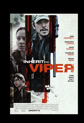 继任蝰蛇 Inherit the Viper