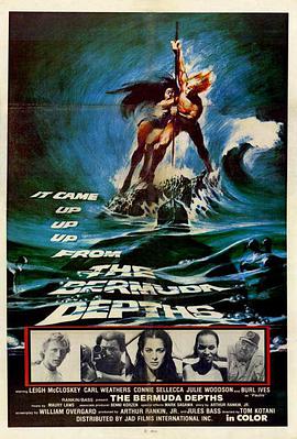 深海巨灵大海龟 The Bermuda Depths