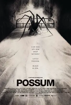 负鼠 Possum