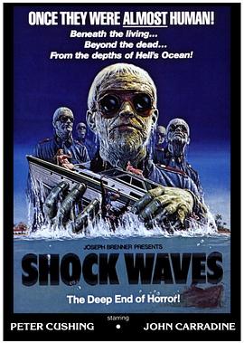 冲击波 Shock Waves