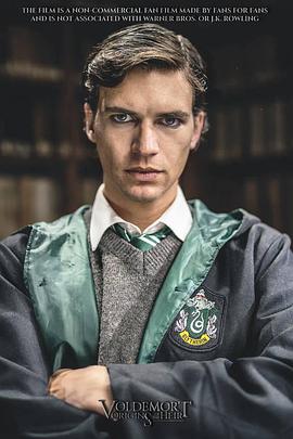 伏地魔：传人的起源 Voldemort: Origins of the Heir
