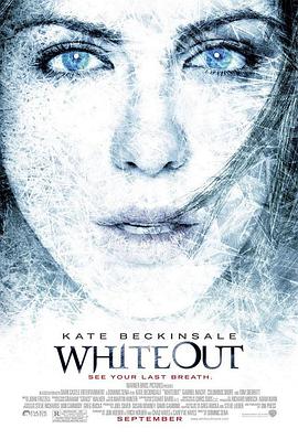 雪盲 Whiteout