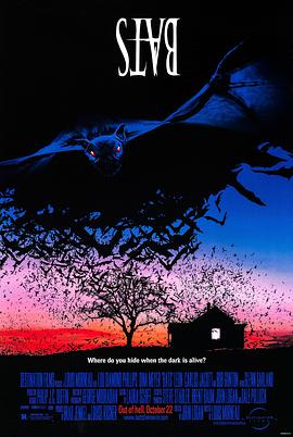 蝙蝠 Bats