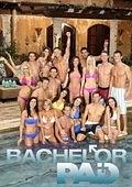 真人秀 单身汉公寓 第一季 Bachelor Pad