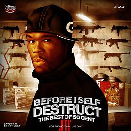 在我自毁之前 Before I Self Destruct