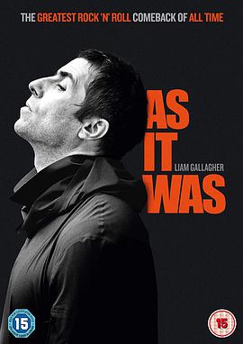 利亚姆·加拉格尔：如初 Liam: As It Was