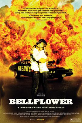 风铃草 Bellflower
