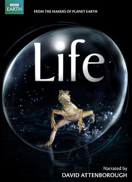 生命 Life