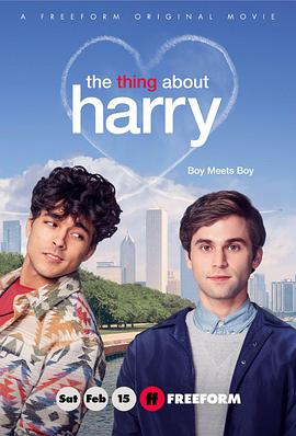 关于哈利的那些事 The Thing About Harry
