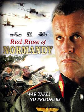 诺曼底红玫瑰 red rose of normandy