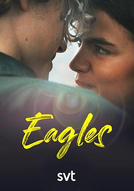 老鹰队 Eagles