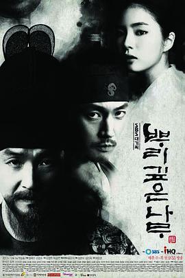 树大根深 뿌리깊은 나무