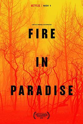 天堂镇大火 Fire in Paradise