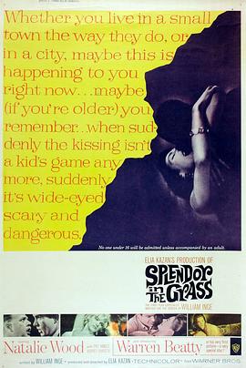 天涯何处觅知音 Splendor in the Grass