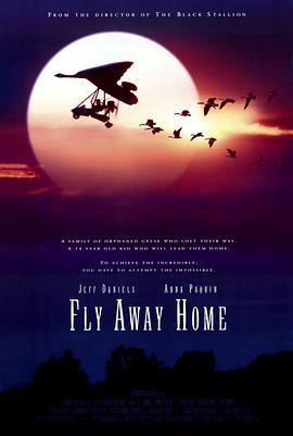 伴你高飞 Fly Away Home