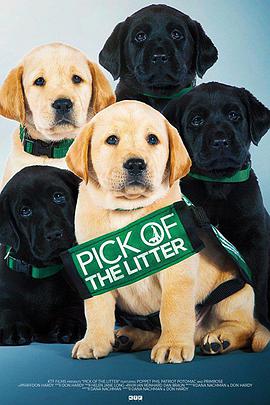 崽之抉择 Pick of the Litter