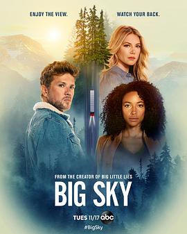 天空市凶案 Big Sky