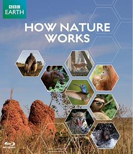自然的运作 How Nature Works