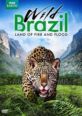 狂野巴西 Wild Brazil