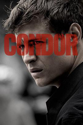 秃鹰 第二季 Condor Season 2