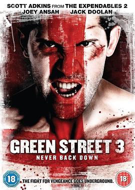 足球流氓3 Green Street 3: Never Back Down