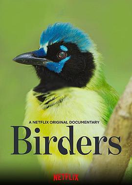 观鸟者 Birders