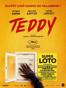泰迪 Teddy