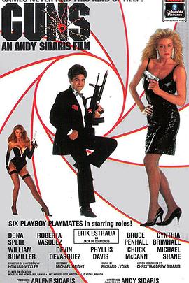 美女特工队 Guns