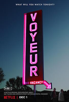 偷窥者 Voyeur