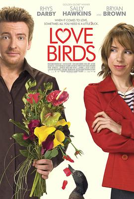 爱情鸟 Love Birds