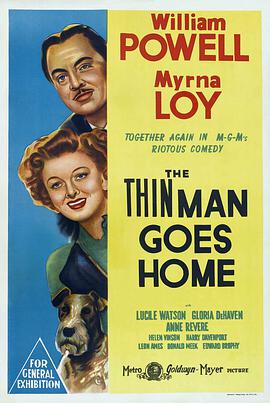 疑云风波 The Thin Man Goes Home