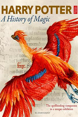 哈利·波特：一段魔法史 Harry Potter: A History of Magic
